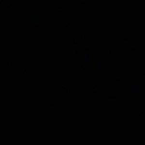 Meet your Posher, Brice